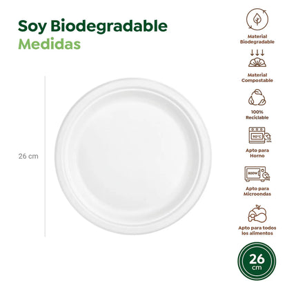 Maxi Products | S/50 Plato llano redondo caña de azúcar blanco 26 CM